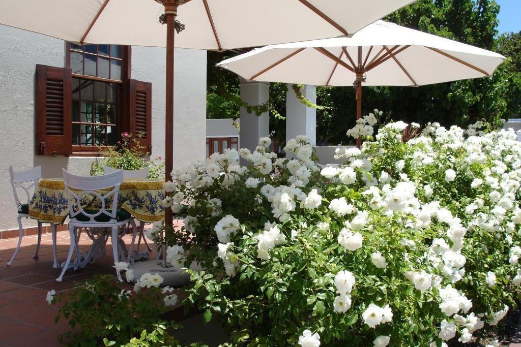 Glen Avon Lodge Boutique Hotel كيب تاون المظهر الخارجي الصورة